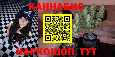 шишки Тула