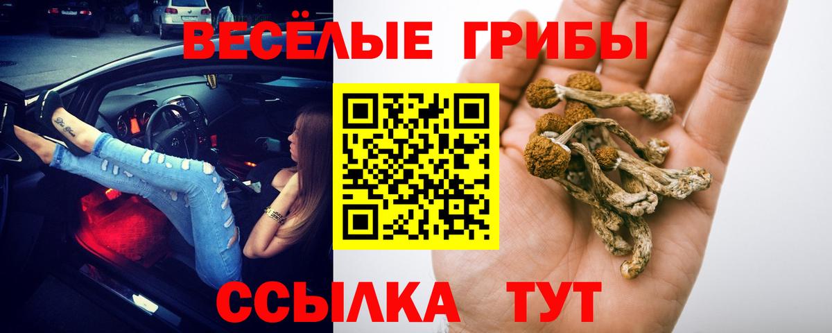 Усолье-Сибирское  Псилоцибиновые грибы мицелий  Галлюциногенные грибы ЛСД  купить наркоту  Вход с VPN 
