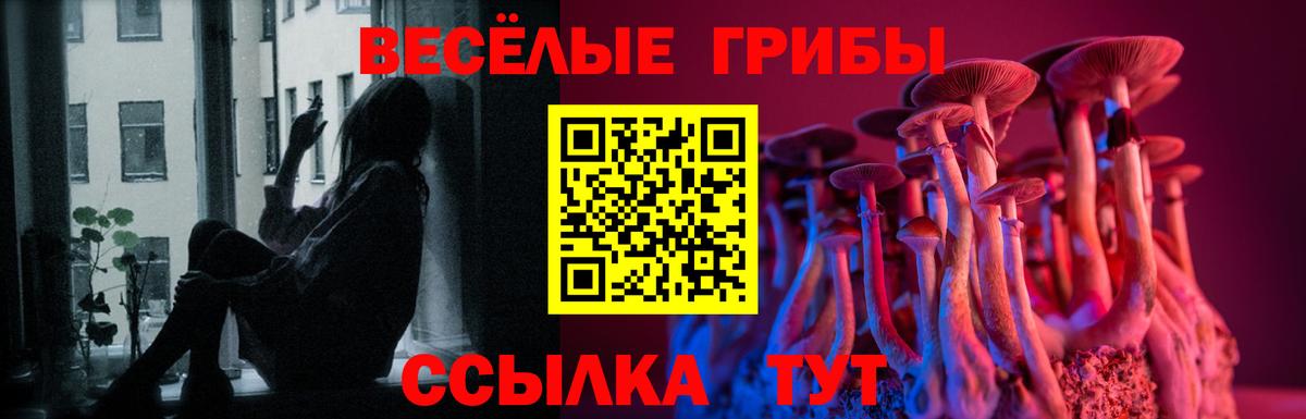 Псилоцибиновые грибы MAGIC MUSHROOMS Усолье-Сибирское